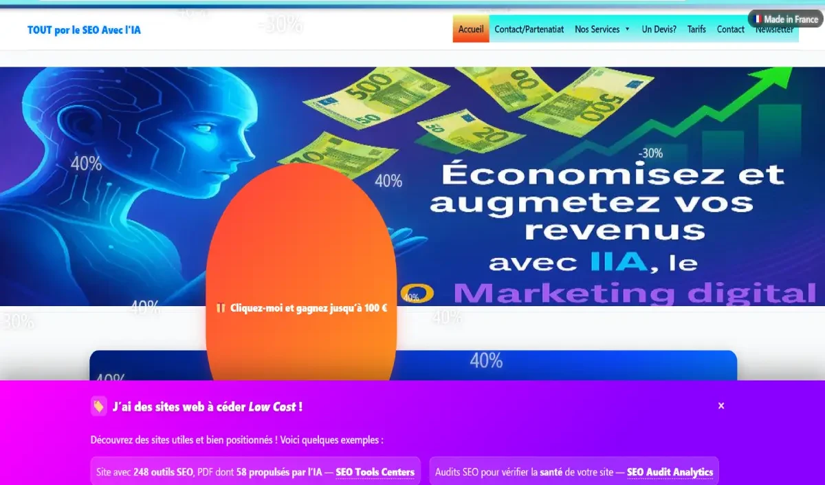 Aperçu du site Mon SEO AI