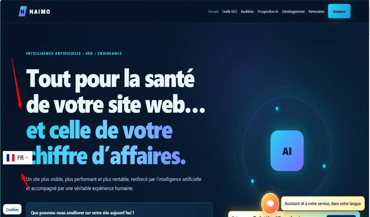 Aperçu du site NAIMO IA