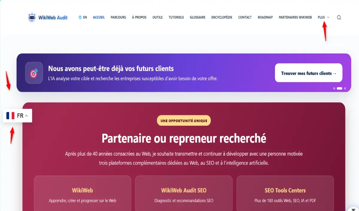 Aperçu du site WikiWeb
